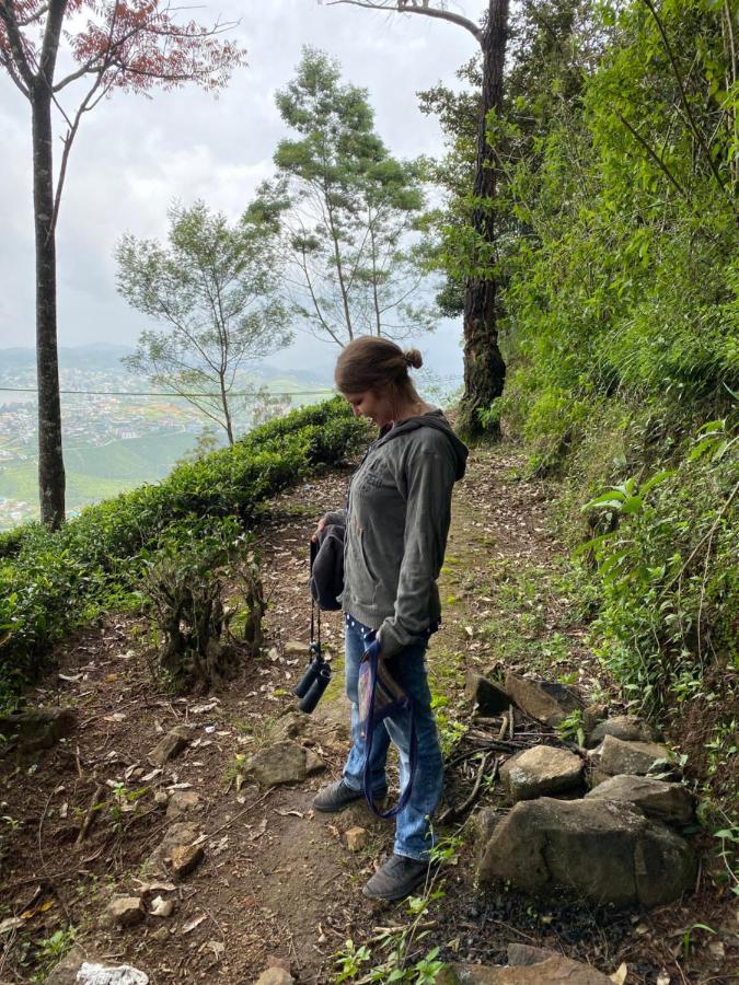W15 Lake Gregory Nuwara Eliya Zewnętrze zdjęcie